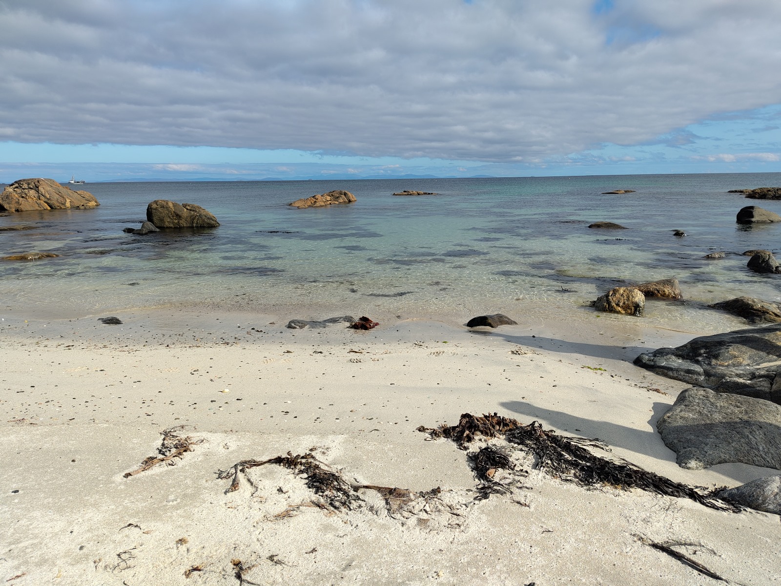Marine life