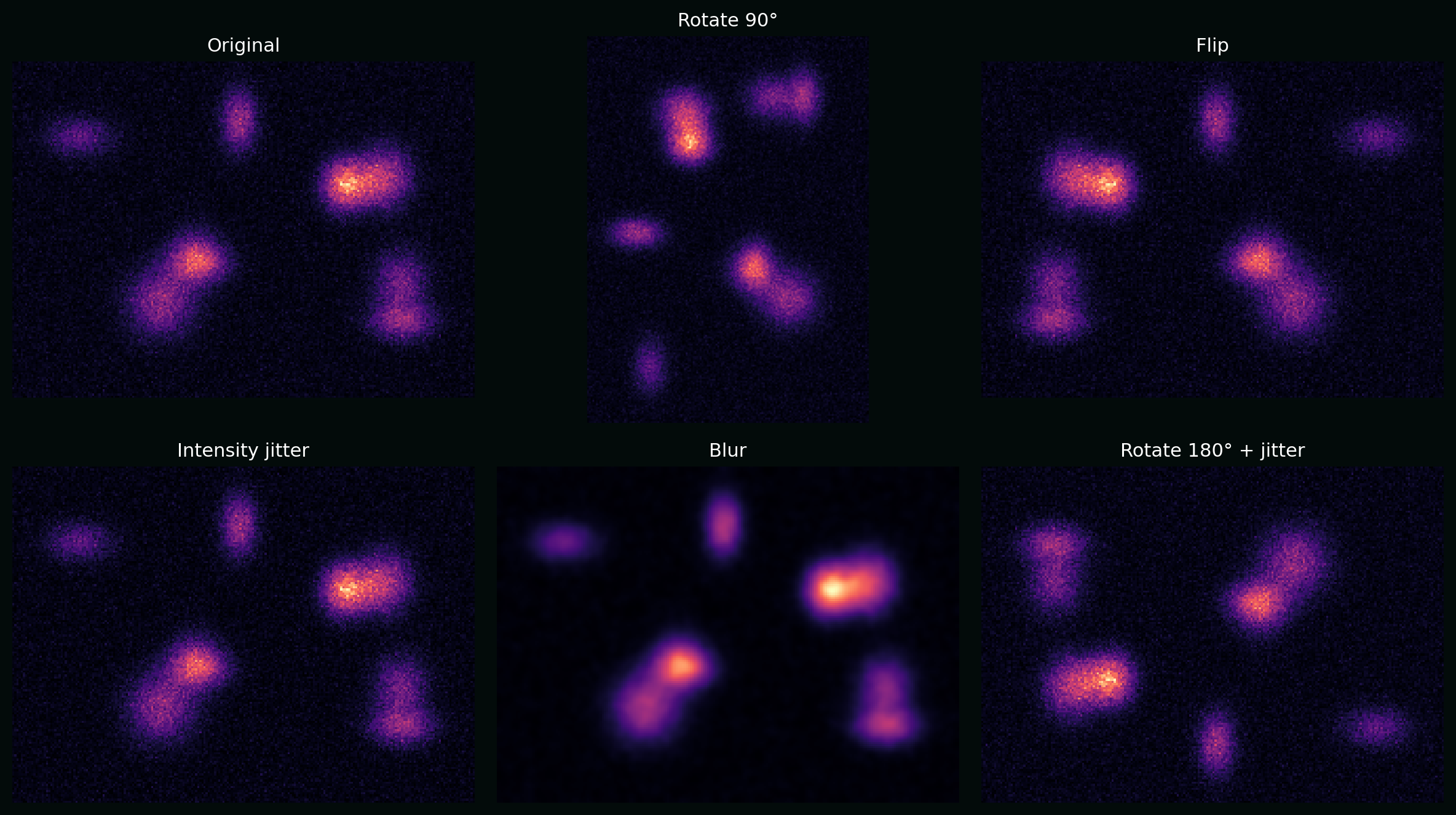 Example augmentations for microscopy images