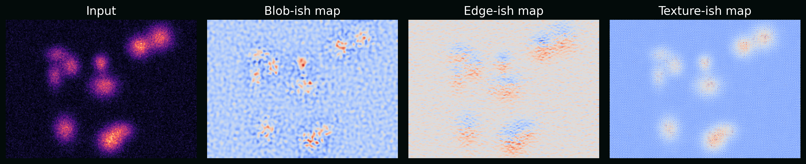 Toy feature maps illustrating convolutional representations