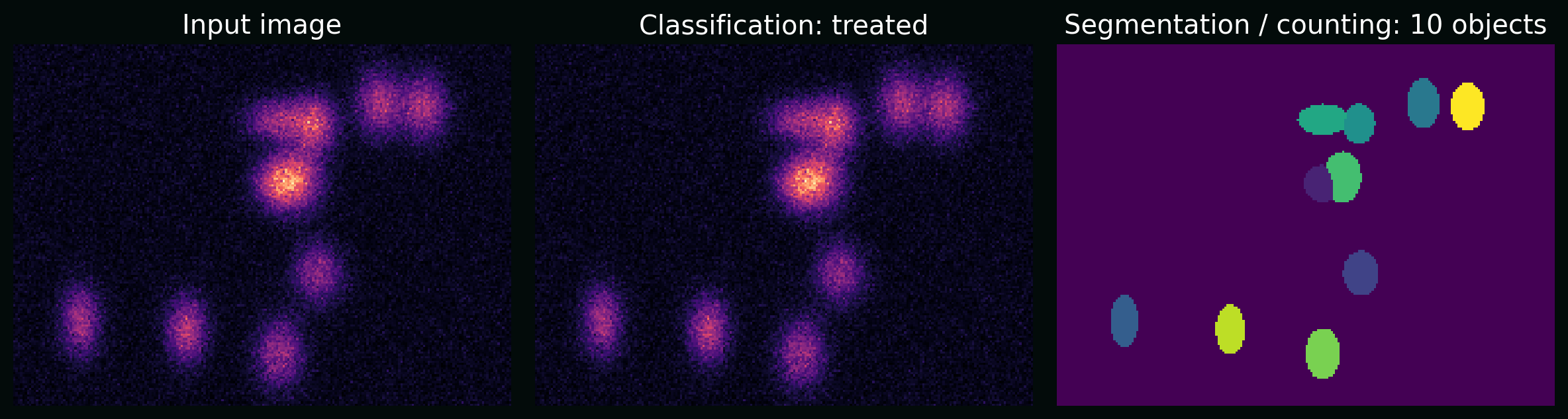 One image, multiple tasks: classification, counting, segmentation