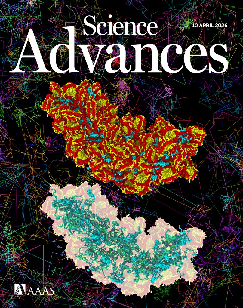 Science Advances front cover featuring chromatin and linker histone H1 dynamics